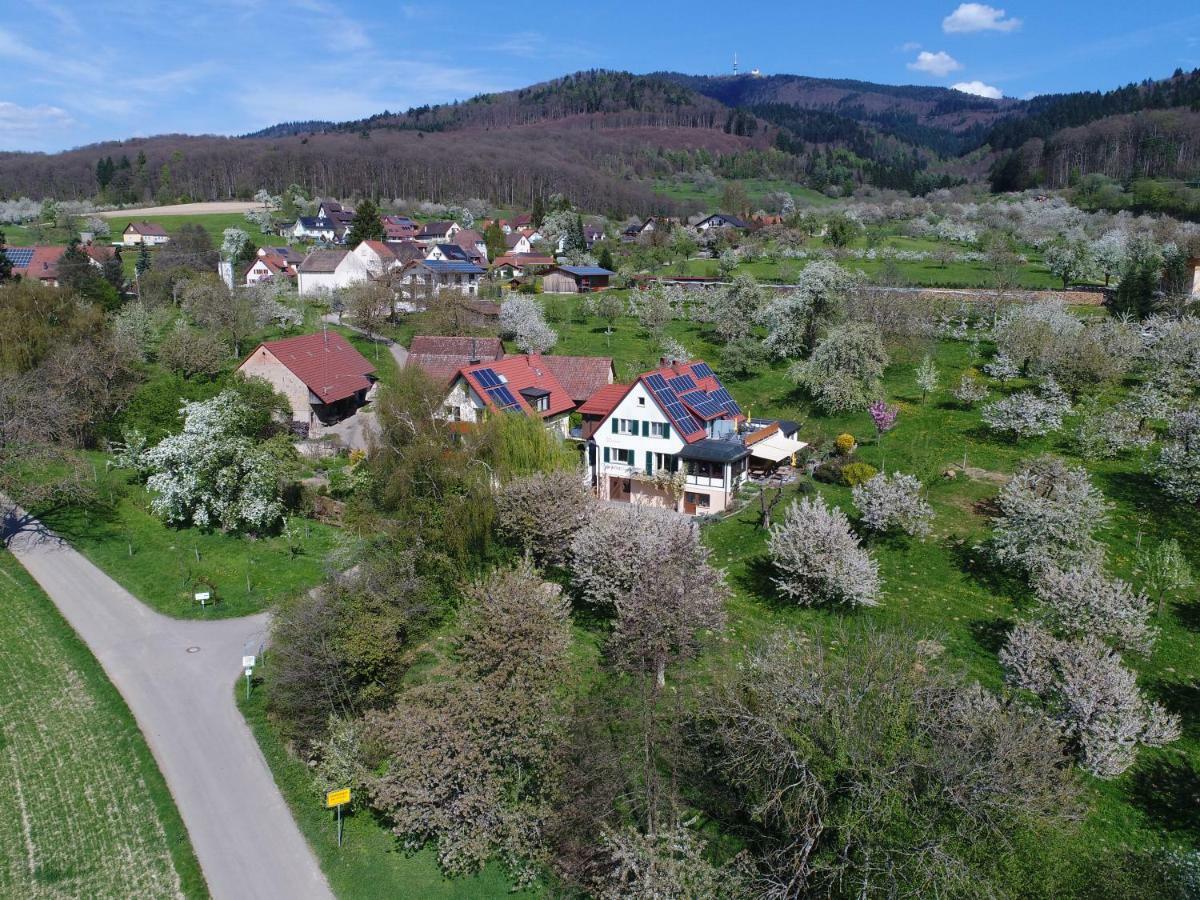Haus Am Blauenbach Leilighet Schliengen Eksteriør bilde